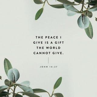 John 14:27 - “Peace I leave with you. My peace I give to you. I do not give to you as the world gives. Don’t let your heart be troubled or fearful.