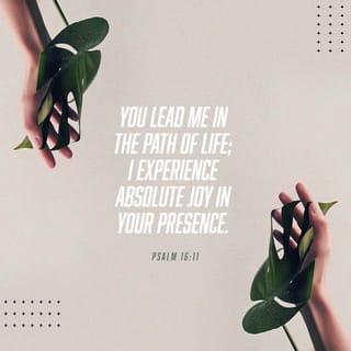 Psalm 16:11 - You make known to me the path of life;
in your presence there is fullness of joy;
at your right hand are pleasures forevermore.