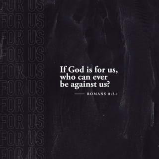 Romans 8:30-39 - Moreover whom he did predestinate, them he also called: and whom he called, them he also justified: and whom he justified, them he also glorified.
What shall we then say to these things? If God be for us, who can be against us? He that spared not his own Son, but delivered him up for us all, how shall he not with him also freely give us all things? Who shall lay any thing to the charge of God's elect? It is God that justifieth. Who is he that condemneth? It is Christ that died, yea rather, that is risen again, who is even at the right hand of God, who also maketh intercession for us. Who shall separate us from the love of Christ? shall tribulation, or distress, or persecution, or famine, or nakedness, or peril, or sword? As it is written,
For thy sake we are killed all the day long;
We are accounted as sheep for the slaughter.
Nay, in all these things we are more than conquerors through him that loved us. For I am persuaded, that neither death, nor life, nor angels, nor principalities, nor powers, nor things present, nor things to come, nor height, nor depth, nor any other creature, shall be able to separate us from the love of God, which is in Christ Jesus our Lord.