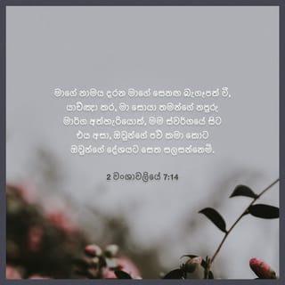 2 Chronicles 7:13-15 - If I shut up heaven that there be no rain, or if I command the locusts to devour the land, or if I send pestilence among my people; if my people, which are called by my name, shall humble themselves, and pray, and seek my face, and turn from their wicked ways; then will I hear from heaven, and will forgive their sin, and will heal their land. Now mine eyes shall be open, and mine ears attent unto the prayer that is made in this place.