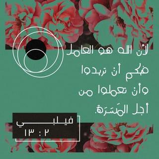 فِيلِبِّي 12:2-24 - إِذًا يَا أَحِبَّائِي، كَمَا أَطَعْتُمْ كُلَّ حِينٍ، لَيْسَ كَمَا فِي حُضُورِي فَقَطْ، بَلِ ٱلْآنَ بِٱلْأَوْلَى جِدًّا فِي غِيَابِي، تَمِّمُوا خَلَاصَكُمْ بِخَوْفٍ وَرِعْدَةٍ، لِأَنَّ ٱللهَ هُوَ ٱلْعَامِلُ فِيكُمْ أَنْ تُرِيدُوا وَأَنْ تَعْمَلُوا مِنْ أَجْلِ ٱلْمَسَرَّةِ. اِفْعَلُوا كُلَّ شَيْءٍ بِلَا دَمْدَمَةٍ وَلَا مُجَادَلَةٍ، لِكَيْ تَكُونُوا بِلَا لَوْمٍ، وَبُسَطَاءَ، أَوْلَادًا لِلهِ بِلَا عَيْبٍ فِي وَسَطِ جِيلٍ مُعَوَّجٍ وَمُلْتَوٍ، تُضِيئُونَ بَيْنَهُمْ كَأَنْوَارٍ فِي ٱلْعَالَمِ. مُتَمَسِّكِينَ بِكَلِمَةِ ٱلْحَيَاةِ لِٱفْتِخَارِي فِي يَوْمِ ٱلْمَسِيحِ، بِأَنِّي لَمْ أَسْعَ بَاطِلًا وَلَا تَعِبْتُ بَاطِلًا. لَكِنَّنِي وَإِنْ كُنْتُ أَنْسَكِبُ أَيْضًا عَلَى ذَبِيحَةِ إِيمَانِكُمْ وَخِدْمَتِهِ، أُسَرُّ وَأَفْرَحُ مَعَكُمْ أَجْمَعِينَ. وَبِهَذَا عَيْنِهِ كُونُوا أَنْتُمْ مَسْرُورِينَ أَيْضًا وَٱفْرَحُوا مَعِي.
عَلَى أَنِّي أَرْجُو فِي ٱلرَّبِّ يَسُوعَ أَنْ أُرْسِلَ إِلَيْكُمْ سَرِيعًا تِيمُوثَاوُسَ لِكَيْ تَطِيبَ نَفْسِي إِذَا عَرَفْتُ أَحْوَالَكُمْ. لِأَنْ لَيْسَ لِي أَحَدٌ آخَرُ نَظِيرُ نَفْسِي يَهْتَمُّ بِأَحْوَالِكُمْ بِإِخْلَاصٍ، إِذِ ٱلْجَمِيعُ يَطْلُبُونَ مَا هُوَ لِأَنْفُسِهِمْ لَا مَا هُوَ لِيَسُوعَ ٱلْمَسِيحِ. وَأَمَّا ٱخْتِبَارُهُ فَأَنْتُمْ تَعْرِفُونَ أَنَّهُ كَوَلَدٍ مَعَ أَبٍ خَدَمَ مَعِي لِأَجْلِ ٱلْإِنْجِيلِ. هَذَا أَرْجُو أَنْ أُرْسِلَهُ أَوَّلَ مَا أَرَى أَحْوَالِي حَالًا. وَأَثِقُ بِٱلرَّبِّ أَنِّي أَنَا أَيْضًا سَآتِي إِلَيْكُمْ سَرِيعًا.