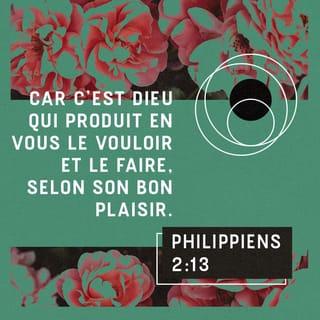 Philippiens 2:12-13 NFC Nouvelle Français courant