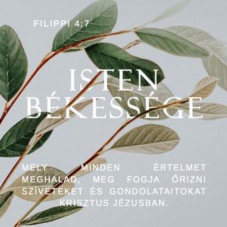 Filippi 4:7-8 - és Isten békessége, mely minden értelmet meghalad, meg fogja őrizni szíveteket és gondolataitokat Krisztus Jézusban.
Egyébként pedig, testvéreim, ami igaz, ami tisztességes, ami igazságos, ami tiszta, ami szeretetre méltó, ami jó hírű, ha valami nemes és dicséretes, azt vegyétek figyelembe!