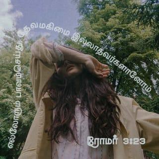 ரோமர் 3:23-25 - எல்லாரும் பாவஞ்செய்து, தேவமகிமையற்றவர்களாகி,
இலவசமாய் அவருடைய கிருபையினாலே கிறிஸ்து இயேசுவிலுள்ள மீட்பைக்கொண்டு நீதிமான்களாக்கப்படுகிறார்கள்;
தேவன் பொறுமையாயிருந்த முற்காலத்தில் நடந்த பாவங்களைத் தாம் பொறுத்துக்கொண்டதைக்குறித்துத் தம்முடைய நீதியைக் காண்பிக்கும்பொருட்டாகவும், தாம் நீதியுள்ளவரும், இயேசுவினிடத்தில் விசுவாசமாயிருக்கிறவனை நீதிமானாக்குகிறவருமாய் விளங்கும்படி, இக்காலத்திலே தமது நீதியைக் காண்பிக்கும் பொருட்டாகவும்