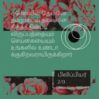 பிலிப்பியர் 2:12-16 - ஆதலால், எனக்குப் பிரியமானவர்களே, நீங்கள் எப்பொழுதும் கீழ்ப்படிகிறபடியே, நான் உங்களுக்குச் சமீபமாயிருக்கும்பொழுது மாத்திரமல்ல, நான் தூரமாயிருக்கிற இப்பொழுதும், அதிக பயத்தோடும் நடுக்கத்தோடும் உங்கள் இரட்சிப்பு நிறைவேறப் பிரயாசப்படுங்கள்.
ஏனெனில் தேவனே தம்முடைய தயவுள்ள சித்தத்தின்படி விருப்பத்தையும் செய்கையையும் உங்களில் உண்டாக்குகிறவராயிருக்கிறார்.
நான் வீணாக ஓடினதும் வீணாகப் பிரயாசப்பட்டதுமில்லையென்கிற மகிழ்ச்சி கிறிஸ்துவின் நாளில் எனக்கு உண்டாயிருப்பதற்கு, ஜீவவசனத்தைப் பிடித்துக்கொண்டு, உலகத்திலே சுடர்களைப்போலப் பிரகாசிக்கிற நீங்கள்,
கோணலும் மாறுபாடுமான சந்ததியின் நடுவிலே குற்றமற்றவர்களும் கபடற்றவர்களும், தேவனுடைய மாசற்ற பிள்ளைகளுமாயிருக்கும்படிக்கு,
எல்லாவற்றையும் முறுமுறுப்பில்லாமலும் தர்க்கிப்பில்லாமலும் செய்யுங்கள்.
