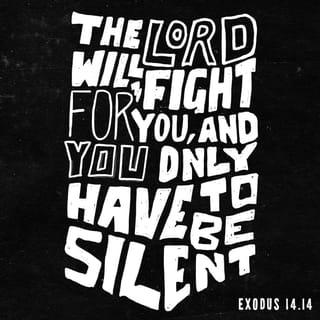 Exodus 14:14 - The LORD will fight for you, and you won't have to do a thing.”