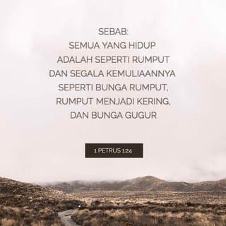 1 Petrus 1:24-25 - Sebab:
"Semua yang hidup adalah seperti rumput
dan segala kemuliaannya seperti bunga rumput,
rumput menjadi kering,
dan bunga gugur,
tetapi firman Tuhan tetap untuk selama-lamanya."
Firman inilah Injil yang diberitakan kepada kamu.