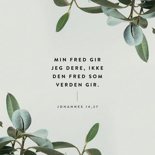 Johannes 14:27 NB