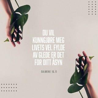 Salmene 16:11 NB