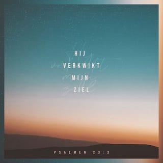 Psalmen 23:3 NBG51 NBG-vertaling 1951