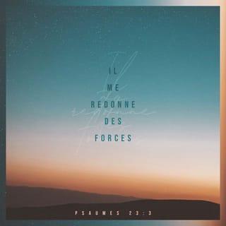 Psaumes 23:3 - Il me redonne des forces, il me conduit dans les sentiers de la justice à cause de son nom.