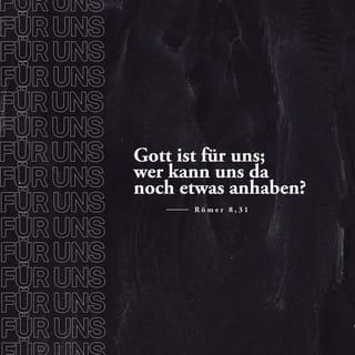 Römer 8:31-35 - Was kann man dazu noch sagen? Wenn Gott für uns ist, wer kann dann gegen uns sein? Gott hat sogar seinen eigenen Sohn nicht verschont, sondern ihn für uns alle dem Tod ausgeliefert. Sollte er uns da noch etwas vorenthalten? Wer könnte es wagen, die von Gott Auserwählten anzuklagen? Niemand, denn Gott selbst spricht sie von aller Schuld frei. Wer wollte es wagen, sie zu verurteilen? Keiner, denn Jesus Christus ist für sie gestorben, ja, mehr noch: Er ist vom Tod auferweckt worden und hat seinen Platz an Gottes rechter Seite eingenommen. Dort tritt er jetzt vor Gott für uns ein.
Was also könnte uns von Christus und seiner Liebe trennen? Leiden und Angst vielleicht? Verfolgung? Hunger? Armut? Gefahr oder gewaltsamer Tod?