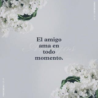 PROVERBIOS 17:17-20 - En todo tiempo ama el amigo,
Y es como un hermano en tiempo de angustia.
El hombre falto de entendimiento presta fianzas,
Y sale por fiador en presencia de su amigo.
El que ama la disputa, ama la transgresión;
Y el que abre demasiado la puerta busca su ruina.
El perverso de corazón nunca hallará el bien,
Y el que revuelve con su lengua caerá en el mal.