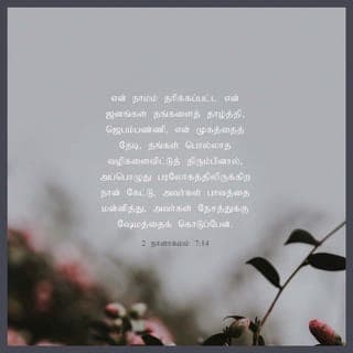 2 நாளாகமம் 7:14 - எனது பெயரால் அழைக்கப்படும் என் மக்கள் தங்களைத் தாழ்த்தி மன்றாடி, என் முகத்தைத் தேடி, தங்கள் கொடிய வழிகளைவிட்டு விலகுவார்களேயானால், அப்பொழுது நான் பரலோகத்திலிருந்து கேட்டு அவர்கள் பாவத்தை மன்னித்து, அவர்கள் நாட்டைக் குணப்படுத்துவேன்.