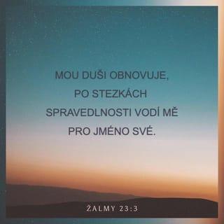 Žalmy 23:3 CSP Český studijní překlad