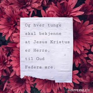 ဖိလိပၸိၾသဝါဒစာ 2:10-11 - ဤသည္ကား အထက္ေကာင္းကင္အရပ္၌လည္းေကာင္း၊ ေျမႀကီးေပၚ၌လည္းေကာင္း၊ ေျမႀကီးေအာက္၌လည္းေကာင္း ရွိရွိသမွ်တို႔သည္ ေယရႈ၏နာမေတာ္၌ ဒူးေထာက္၍ ႏႈတ္ရွိသမွ်တို႔သည္လည္း ေယရႈခရစ္ေတာ္သည္အရွင္သခင္ျဖစ္ေၾကာင္းဝန္ခံသျဖင့္ ခမည္းေတာ္ဘုရားသခင္၏ဘုန္းေတာ္ကို ထင္ရွားေစမည့္အေၾကာင္းတည္း။