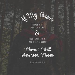 2 Chronicles 7:14 - if my people, which are called by my name, shall humble themselves, and pray, and seek my face, and turn from their wicked ways; then will I hear from heaven, and will forgive their sin, and will heal their land.