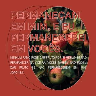 João 15:4 - Permaneçam em mim, e eu permanecerei em vocês. Como um ramo não pode dar fruto por si mesmo se não permanecer na videira, assim vocês também não podem dar fruto se não permanecerem em mim.