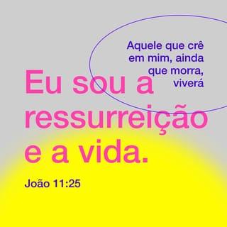 João 11:25 - Jesus lhe disse:
― Eu sou a ressurreição e a vida. Aquele que crê em mim, ainda que morra, viverá