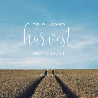 Galatians 6:6-10 - Nevertheless, the one who receives instruction in the word should share all good things with their instructor.
Do not be deceived: God cannot be mocked. A man reaps what he sows. Whoever sows to please their flesh, from the flesh will reap destruction; whoever sows to please the Spirit, from the Spirit will reap eternal life. Let us not become weary in doing good, for at the proper time we will reap a harvest if we do not give up. Therefore, as we have opportunity, let us do good to all people, especially to those who belong to the family of believers.