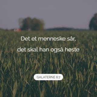 Galaterbrevet 6:6-10 - Den som får undervisning om Guds budskap, skal dele med den som underviser. Del godene med hverandre.
Pass på at dere ikke blir lurt og ført på avveie! Gud vil ikke at Hans Navn skal bli skitnet til. Det et menneske sår, det får han også høste. Dersom mennesker fokuserer på negative ting, vil de høste det som er negativt i livet. Men den som fokuserer på Guds plan og vilje og vil leve med Ånden som hjelp, skal høste det gode og få evig liv.
La oss derfor ikke bli trette av å gjøre det som er godt. For når tiden er inne, vil vi se resultatene av våre positive valg, hvis vi bare ikke mister motet. Derfor må vi benytte de anledningene vi får, til å gjøre godt mot alle, særlig mot våre kristne søsken.