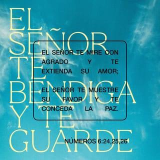 NÚMEROS 6:23-27 - Habla a Aarón y a sus hijos y diles: Así bendeciréis a los hijos de Israel, diciéndoles:
Jehová te bendiga, y te guarde;
Jehová haga resplandecer su rostro sobre ti, y tenga de ti misericordia;
Jehová alce sobre ti su rostro, y ponga en ti paz.
Y pondrán mi nombre sobre los hijos de Israel, y yo los bendeciré.