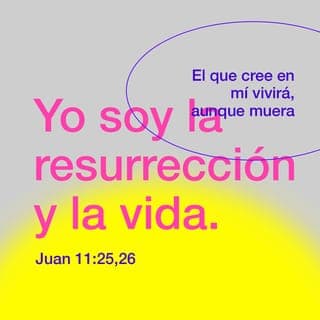 Juan 11:25-26 - A esto Jesús respondió:
—Yo soy el que da la vida y el que hace que los muertos vuelvan a vivir. Quien pone su confianza en mí, aunque muera, vivirá. Los que todavía viven y confían en mí, nunca morirán para siempre. ¿Puedes creer esto?