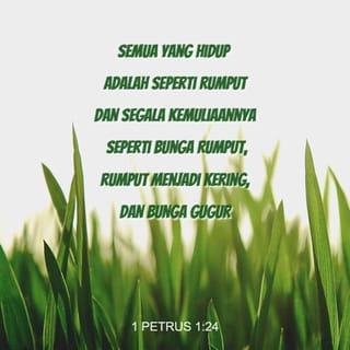 1 Petrus 1:24-25 - Sebab:
"Semua yang hidup adalah seperti rumput
dan segala kemuliaannya seperti bunga rumput,
rumput menjadi kering,
dan bunga gugur,
tetapi firman Tuhan tetap untuk selama-lamanya."
Firman inilah Injil yang diberitakan kepada kamu.