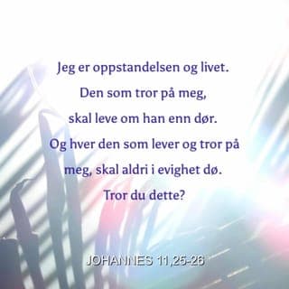 Johannes’ evangelium 11:24-27-24-27 - Marta svarte: «Ja, jeg vet at han skal stå opp igjen til et evig liv i Himmelen.»
Men da sa Jesus til henne: «Jeg er oppstandelsen og livet. Den som tror på Meg, skal leve selv om han dør. Den som lever og velger å tro på Meg, skal aldri i evighet dø. Tror du dette?»
Hun sa til Ham: «Ja, Herre, jeg tror at Du er Kristus, Guds Sønn, som er kommet til vår verden.»