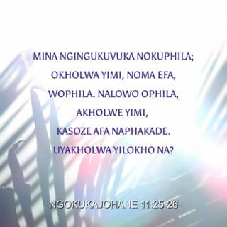 NgokukaJohane 11:26 - Nalowo ophila, akholwe yimi, kasoze afa naphakade. Uyakholwa yilokho na?”