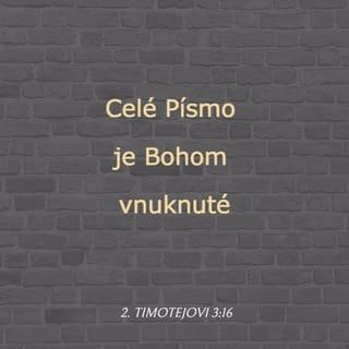 Druhý Timotejovi 3:16-17 SEB Slovenský ekumenický preklad