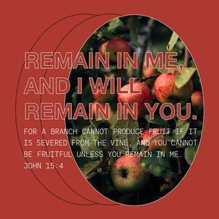 John 15:4 - Stay joined to me, and I will stay joined to you. Just as a branch cannot produce fruit unless it stays joined to the vine, you cannot produce fruit unless you stay joined to me.