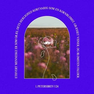 Peters Første Brev 1:24-25 - Thi „alt Kød er som Græs, og al dets Herlighed som Græssets Blomst; Græsset visner, og Blomsten falder af; men Herrens Ord bliver evindelig.“ Og dette er det Ord, som er forkyndt eder ved Evangeliet.