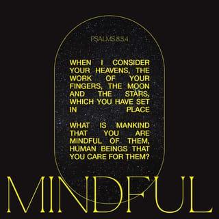 Psalms 8:4 - What is man that You are mindful of him,
And the son of man that You visit him?