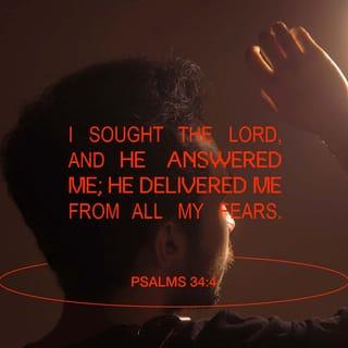 Psalms 34:4-5 - I sought the LORD, and he answered me,
and delivered me from all my fears.
They looked to him, and were radiant.
Their faces shall never be covered with shame.