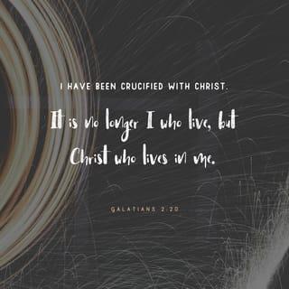 Galatians 2:20 - I am crucified with Christ: nevertheless I live; yet not I, but Christ liveth in me: and the life which I now live in the flesh I live by the faith of the Son of God, who loved me, and gave himself for me.