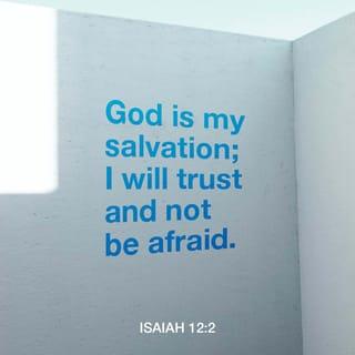 Isaiah 12:1-6 - You will say in that day:
“I will give thanks to you, O LORD,
for though you were angry with me,
your anger turned away,
that you might comfort me.

“Behold, God is my salvation;
I will trust, and will not be afraid;
for the LORD GOD is my strength and my song,
and he has become my salvation.”

With joy you will draw water from the wells of salvation. And you will say in that day:

“Give thanks to the LORD,
call upon his name,
make known his deeds among the peoples,
proclaim that his name is exalted.

“Sing praises to the LORD, for he has done gloriously;
let this be made known in all the earth.
Shout, and sing for joy, O inhabitant of Zion,
for great in your midst is the Holy One of Israel.”