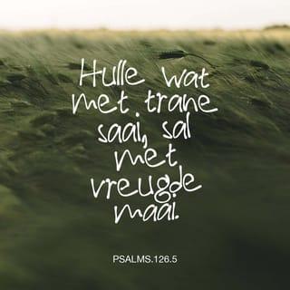 PSALMS 126:5 - Wie met trane saai, sal die oes met gejuig inbring.
