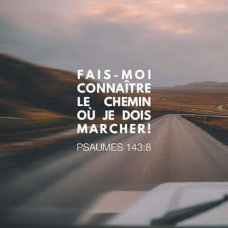 Psaumes 143:8 - Dès le matin, ╵annonce-moi ╵ta bienveillance,
car c’est en toi ╵que j’ai mis ma confiance !
Fais-moi connaître ╵la voie que je dois suivre,
car c’est vers toi ╵que je me tourne !