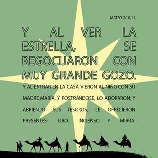 San Mateo 2:9-16 - Ellos, habiendo oído al rey, se fueron; y he aquí la estrella que habían visto en el oriente iba delante de ellos, hasta que llegando, se detuvo sobre donde estaba el niño. Y al ver la estrella, se regocijaron con muy grande gozo. Y al entrar en la casa, vieron al niño con su madre María, y postrándose, lo adoraron; y abriendo sus tesoros, le ofrecieron presentes: oro, incienso y mirra. Pero siendo avisados por revelación en sueños que no volviesen a Herodes, regresaron a su tierra por otro camino.
Después que partieron ellos, he aquí un ángel del Señor apareció en sueños a José y dijo: Levántate y toma al niño y a su madre, y huye a Egipto, y permanece allá hasta que yo te diga; porque acontecerá que Herodes buscará al niño para matarlo. Y él, despertando, tomó de noche al niño y a su madre, y se fue a Egipto, y estuvo allá hasta la muerte de Herodes; para que se cumpliese lo que dijo el Señor por medio del profeta, cuando dijo: De Egipto llamé a mi Hijo.
Herodes entonces, cuando se vio burlado por los magos, se enojó mucho, y mandó matar a todos los niños menores de dos años que había en Belén y en todos sus alrededores, conforme al tiempo que había inquirido de los magos.