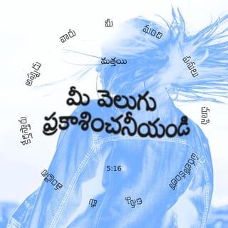 ម៉ាថាយ 5:15-16 - គេមិនដែលអុជចង្កៀង ហើយយកធុងគ្របពីលើនោះទេ គឺគេតែងយកចង្កៀងទៅដាក់លើជើងចង្កៀងវិញ ហើយចង្កៀងនោះបំភ្លឺអស់អ្នកដែលនៅក្នុងផ្ទះ។ ចូរឲ្យពន្លឺរបស់អ្នករាល់គ្នា បំភ្លឺមនុស្សទាំងឡាយដូច្នោះដែរ គេនឹងឃើញអំពើល្អដែលអ្នករាល់គ្នាប្រព្រឹត្ត ហើយលើកតម្កើងសិរីរុងរឿងព្រះបិតារបស់អ្នករាល់គ្នា ដែលគង់នៅស្ថានបរមសុខ*»។