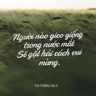 Thi thiên 126:5 - Kẻ nào vừa trồng vừa khóc,
sẽ hát mừng vào mùa gặt.