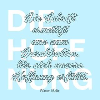 Römer 15:4-13 NGU2011 Neue Genfer Übersetzung