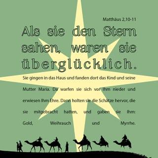 Matthäus 2:10-11 NGU2011 Neue Genfer Übersetzung
