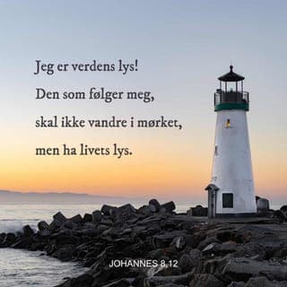Johannes’ evangelium 8:12-18 - Så fortsatte Jesus å undervise folket: «Jeg er verdens lys. Den som vandrer med Meg, skal slippe å vandre i mørket, fordi dere har det lyset som gir evig liv.»
Da sa fariseerne til Jesus: «Du forteller selv om hvem Du er, men er ikke objektiv. Derfor tror vi ikke at det Du sier, er sant.» Jesus svarte dem: «Selv om Jeg forteller om Meg selv, er det sant, for Jeg vet hvor Jeg kommer fra og hvor Jeg er på vei. Men dere vet ikke hvor Jeg kommer fra eller hvor Jeg går hen.
Dere dømmer folk etter det dere ser i det ytre, men Jeg dømmer ingen. Men likevel, om Jeg skulle dømme, så er Min dom sann og rettferdig. For Jeg kan dømme sammen med Gud, Min Far – Han som har sendt Meg til jorden. Ifølge loven skal det være to personer for å kunne bekrefte at noe er sant. Så når Jeg forteller om Meg selv, så vil Gud kunne bekrefte det Jeg sier.»