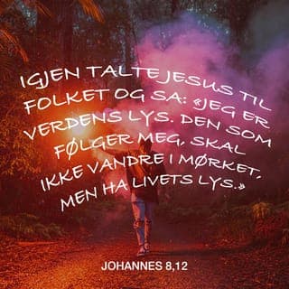 Johannes’ evangelium 8:12-18 - Så fortsatte Jesus å undervise folket: «Jeg er verdens lys. Den som vandrer med Meg, skal slippe å vandre i mørket, fordi dere har det lyset som gir evig liv.»
Da sa fariseerne til Jesus: «Du forteller selv om hvem Du er, men er ikke objektiv. Derfor tror vi ikke at det Du sier, er sant.» Jesus svarte dem: «Selv om Jeg forteller om Meg selv, er det sant, for Jeg vet hvor Jeg kommer fra og hvor Jeg er på vei. Men dere vet ikke hvor Jeg kommer fra eller hvor Jeg går hen.
Dere dømmer folk etter det dere ser i det ytre, men Jeg dømmer ingen. Men likevel, om Jeg skulle dømme, så er Min dom sann og rettferdig. For Jeg kan dømme sammen med Gud, Min Far – Han som har sendt Meg til jorden. Ifølge loven skal det være to personer for å kunne bekrefte at noe er sant. Så når Jeg forteller om Meg selv, så vil Gud kunne bekrefte det Jeg sier.»
