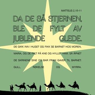 Matteus 2:10 - Da de så stjernen, ble de fylt av jublende glede.