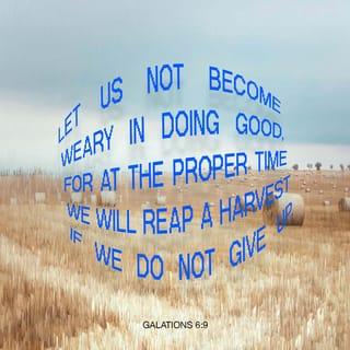 Galatians 6:9-10 - Let us not become weary in doing good, for at the proper time we will reap a harvest if we do not give up. Therefore, as we have opportunity, let us do good to all people, especially to those who belong to the family of believers.