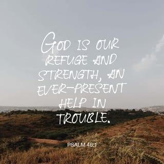 Psalms 46:1 - God is our protection and our strength.
He always helps in times of trouble.