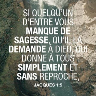 Jacques 1:4-10 - Mais il faut que votre endurance aille jusqu’au bout de ce qu’elle peut faire pour que vous parveniez à l’état d’adultes et soyez pleins de force, des hommes auxquels il ne manque rien.
Si l’un de vous manque de sagesse, qu’il la demande à Dieu qui la lui donnera, car il donne à tous généreusement et sans faire de reproche. Il faut cependant qu’il la demande avec foi, sans douter, car celui qui doute ressemble aux vagues de la mer agitées et soulevées par le vent. Qu’un tel homme ne s’imagine pas obtenir quoi que ce soit du Seigneur : son cœur est partagé, il est inconstant dans toutes ses entreprises.
Que le frère ou la sœur pauvre soit fier de ce que Dieu l’élève, et le riche de ce que Dieu l’abaisse. En effet, il passera comme la fleur des champs.